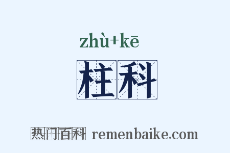 柱科是什么意思的图片